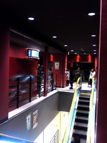 201011271735000.jpg